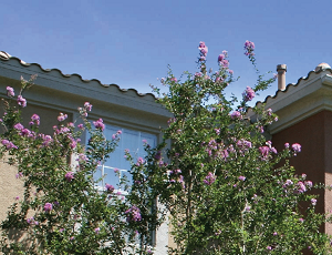 Apartments For Rent In Riverside Ca Under Apartments For Rent In Riverside Ca Under